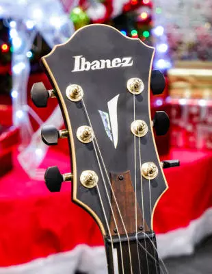 Ibanez - Ibanez AFC125 BKF Contemporary Archtop - Black Flat 2